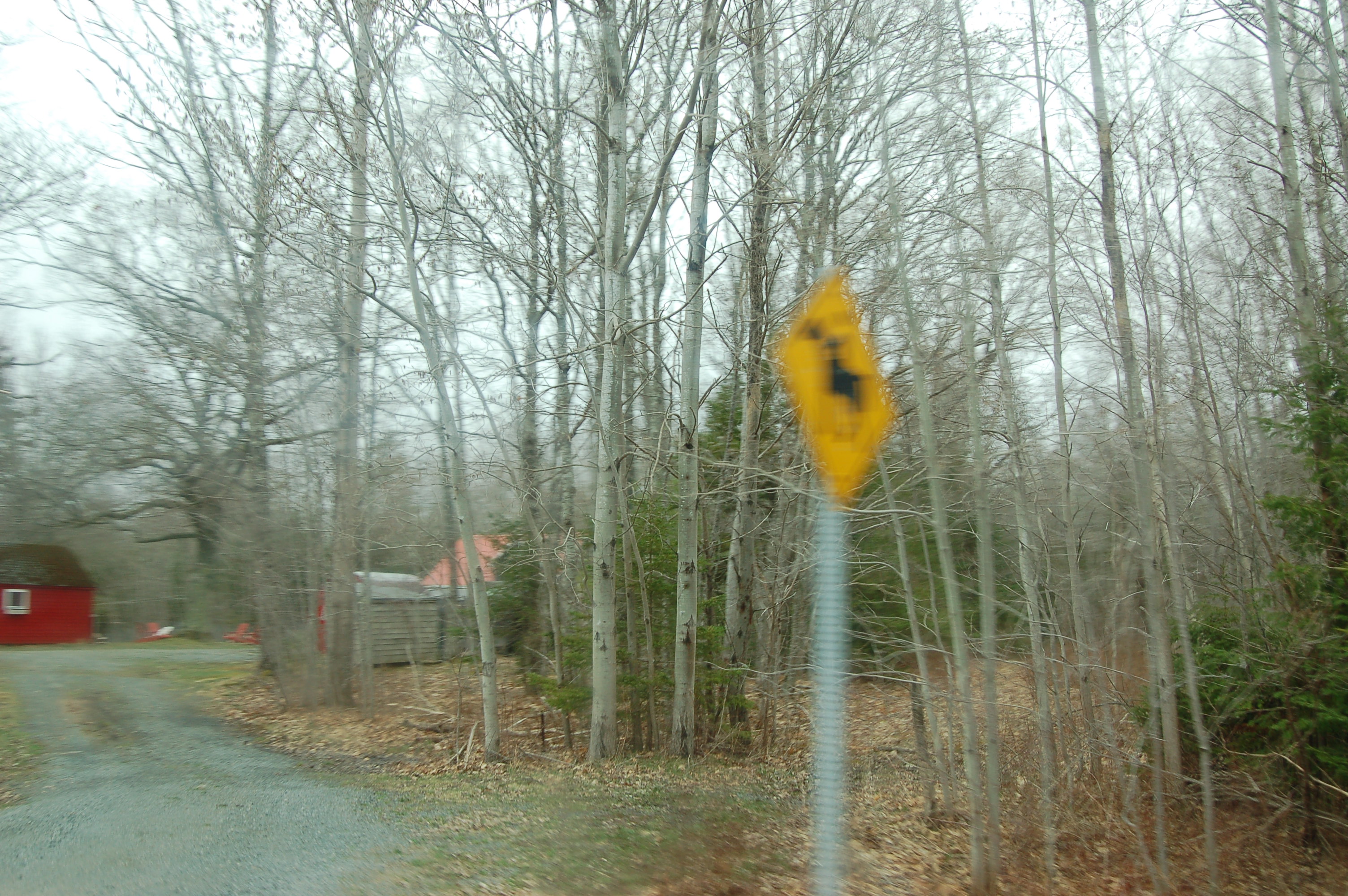 Photos
